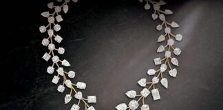 Nita Ambani, gifted her daughter-in-law, Shloka Mehta, the world’s most expensive diamond necklace