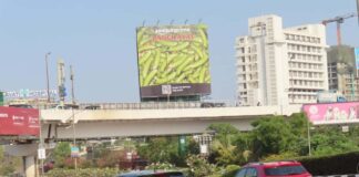 TVF’s Panchayat Season 3: Join the Virtual Lauki-Plucking Event and Uncover the Premiere Date Panchayat Season 3