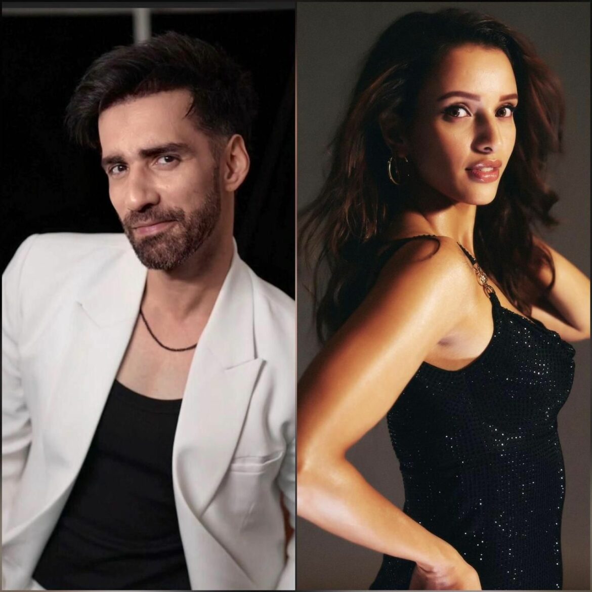Avinash Tiwary and Triptii Dimri