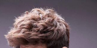 Kartik Aaryan and Kabir Khan to Host Special Interactive Session at Indian Film Festival of Melbourne 2024 Kartik Aaryan