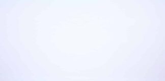 Empowering Woman Entrepreneurs in Wellness: Upasana Kamineni Konidela Upasana Kamineni Konidela