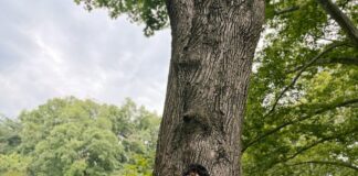 Armaan Malik: The Prince of Pop Returns Refreshed and Rejuvenated Armaan Malik