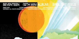 SEVENTEEN’s SPILL THE FEELS: From Despair to Resilience SEVENTEEN