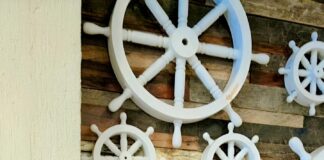 Acharya Vinod Kumar Ojha Discusses the Power of Red This Valentine’s Day: The Color of Passion and Fire. Valentine’s Day