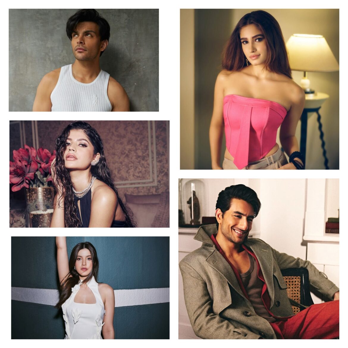 5 Fresh Faces Ready to Dominate Bollywood in 2025.