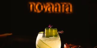 5 Reasons Why Novaara Is the Best Vegetarian Restaurant in Town. Novaara