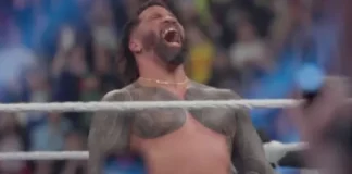 Netflix Takes You Inside the WWE with WWE: Unreal. Netflix