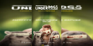 Ryan Reynolds Shines Light on Nature’s Misfits in National Geographic’s ‘UNDERDOGS’. Ryan Reynolds