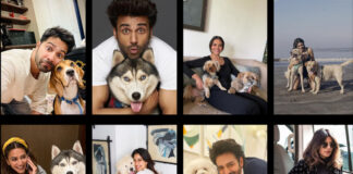 Bollywood’s Furry Friend Fest: Celebrating International Dog Day! Bollywood celebrities with dogs