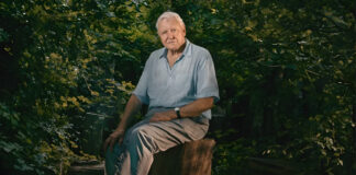 Sir David Attenborough Wins Emmy at 99, Sets New Record Sir David