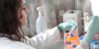 Bezos Earth Fund Unleashes $30M AI Power to Combat Climate Change and Biodiversity Loss Bezos Earth Fund