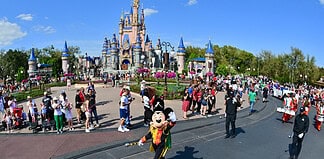 Disney World Hero Stops Runaway Boulder at Indiana Jones Show Disney World